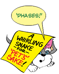 Punkin the cartoon schnauzer